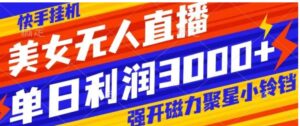 快手挂机，美女无人直播，强开磁力聚星小铃铛，日入3000+-财仔梦想资源网