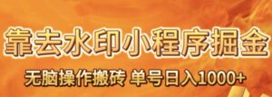靠去水印小程序无脑操作搬砖，单号日入1000+保姆级教程可放大批量操作【揭秘】-财仔梦想资源网