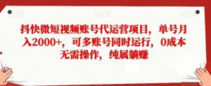 抖快微短视频账号代运营项目，单号月入2000+，可多账号同时运行，0成本无需操作，纯属躺赚【揭秘】-财仔梦想资源网