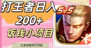 打王者日入200+，饭钱小项目，王者荣耀带打带练-财仔梦想资源网