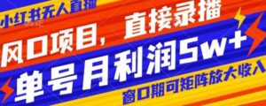 风口项目，小红书无人直播带货，直接录播，可矩阵，月入5w+【揭秘】-财仔梦想资源网