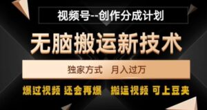 视频号无脑搬运新技术，破原创壕流量，独家方式，爆过视频，还会再爆【揭秘】-财仔梦想资源网