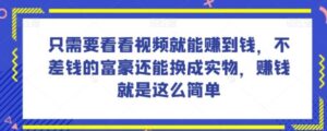 谁做过这么简单的项目？只需要看看视频就能赚到钱，不差钱的富豪还能换成实物，赚钱就是这么简单！【揭秘】-财仔梦想资源网