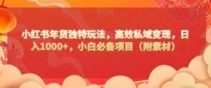 小红书年货独特玩法，高效私域变现，日入1000+，小白必备项目-财仔梦想资源网