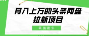 最强副业，月入上万的头条网盘拉新项目，小白新手轻松上手-财仔梦想资源网
