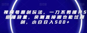 视频号原创玩法，一刀不剪提升5倍播放量，亲测直接搬也能过原创，小白日入500+【揭秘】-财仔梦想资源网