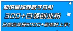 知识星球野路子日引300+白领创业粉，日稳定变现5000+简单好上手！-财仔梦想资源网