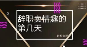 冷门赛道，辞职卖情趣的第几天，超暴力项目-财仔梦想资源网