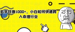 玄学狂撸1000+，小白如何快速跨入命理行业【揭秘】-财仔梦想资源网