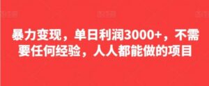 暴力变现，单日利润3000+，不需要任何经验，人人都能做的项目-财仔梦想资源网