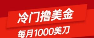 冷门撸美金项目：只需无脑发帖子，每月1000刀，小白轻松掌握-财仔梦想资源网