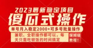傻瓜式无脑项目单号月入稳定2000+可多号批量操作多多视频搬砖全新玩法-财仔梦想资源网