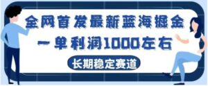 全网首发最新蓝海掘金，一单利润1000左右，稳定落地长久赛道-财仔梦想资源网
