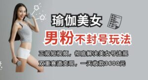 正规短视频引流男粉，解决账号违规风险双赛道变现创新玩法一天收款3600元-财仔梦想资源网
