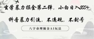 玄学暴力掘金第二弹，小白日入500+，抖音暴力引流，不违规，术封号，八字命理掘金AI玩法-财仔梦想资源网