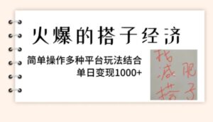 火爆的搭子经济，简单操作多种平台玩法结合，单日变现1000+-财仔梦想资源网