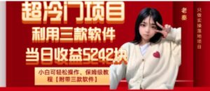 超冷门项目、利用三款软件、当日收益5242块、小白可轻松操作、保姆级教程【附带三款软件】-财仔梦想资源网
