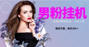 男粉全新自动挂机玩法，稳定收益日搞300＋，可放大多号操作-财仔梦想资源网