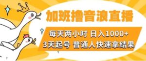 加班撸音浪直播，每天两小时，日入1000+，直播话术才3句，3天起号，普通人快速拿结果【揭秘】-财仔梦想资源网