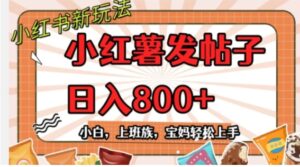 小红薯发日常帖子，日入800+小白专属项目可批量操作-财仔梦想资源网