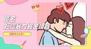 全网首发，揭秘超冷门匿名短信项目，通过信息差日入几百+【揭秘】-财仔梦想资源网