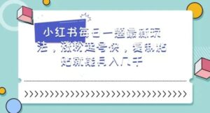 小红书每日一题最新玩法，涨粉起号快，复制粘贴就能月入几千【揭秘】-财仔梦想资源网