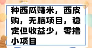 种西瓜赚米，西皮购稳定长久零撸小项目-财仔梦想资源网