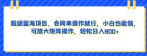 超级蓝海项目，会简单操作就行，小白也能做，可放大矩阵操作，轻松日入800+，-财仔梦想资源网