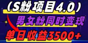 S粉项目4.0，男女粉通吃，男女粉同时变现，单日收益3500+-财仔梦想资源网