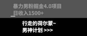 暴力男粉掘金4.0项目不违规不封号无脑复制单人操作日入1000+-财仔梦想资源网