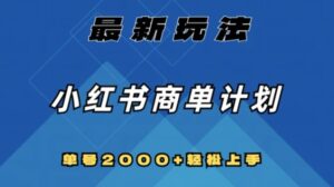 全网首发，小红书商单计划最新玩法，单号2000+可扩大可复制【揭秘】-财仔梦想资源网
