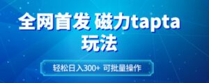 全网首发磁力toptop玩法轻松日入300+-财仔梦想资源网