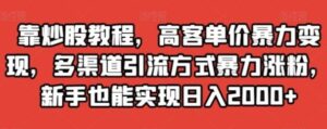 靠炒股教程，高客单价暴力变现，多渠道引流方式暴力涨粉，新手也能实现日入2000+【揭秘】-财仔梦想资源网