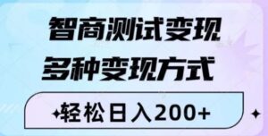 智商测试变现，轻松日入200+，几分钟一个视频，多种变现方式-财仔梦想资源网