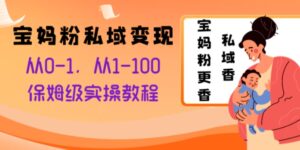 宝妈粉私域变现从0-1，从1-100，保姆级实操教程，长久稳定的变现之法-财仔梦想资源网