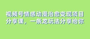 视频号情感动漫治愈变现项目分享课，一条龙玩法分享给你-财仔梦想资源网