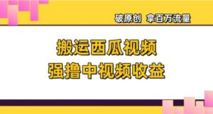 搬运西瓜视频强撸中视频收益，日赚600+破原创，拿百万流量【揭秘】-财仔梦想资源网