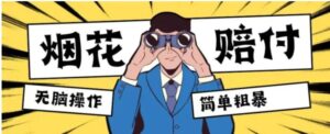 最新蓝海玩法，烟花爆竹赔付，单订单赔付200-500无脑操作【仅揭秘】-财仔梦想资源网