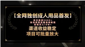 最新全网独创首发，成人用品赛道引流获客，月入10w保姆级教程-财仔梦想资源网