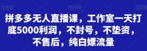 拼多多无人直播课，工作室一天打底5000利润，不封号，不垫资，不售后，纯白嫖流量-财仔梦想资源网