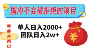 在国内不怕被拒绝的项目，单人日入2000，团队日入20000+【揭秘】-财仔梦想资源网