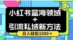 小红书蓝海虚拟＋引流私域新方法，100%不限流，日入轻松1000＋，小白无脑操作【揭秘】-财仔梦想资源网