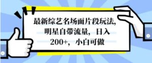最新综艺名场面片段玩法，明星自带流量，日入200+，小白可做-财仔梦想资源网