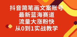 抖音简笔画文案账号，最新蓝海赛道，流量大涨粉快，从0到1实战教学-财仔梦想资源网