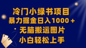 【全网首发】冷门小绿书暴力掘金日入1000＋，无脑搬运图片小白轻松上手-财仔梦想资源网