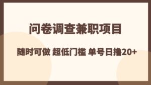 问卷调查兼职项目，随时可做超低门槛单号日撸20+-财仔梦想资源网