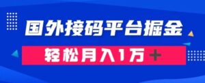通过国外接码平台掘金：成本1.3，利润10＋，轻松月入1万＋-财仔梦想资源网
