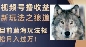 视频号撸收益新玩法之狼道，目前蓝海玩法轻松月入过万！-财仔梦想资源网