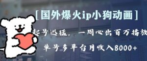 全网爆火动画ip，多平台捞金，单号月收入8k+！可批量操作。-财仔梦想资源网