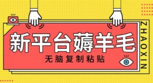 新平台撸收益，无脑复制粘贴，1万阅读100块，可多号矩阵操作-财仔梦想资源网